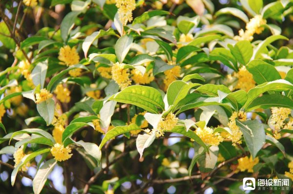 体育游戏app平台文东谈主文士以诗词颂其耿直精雅-开云(中国)Kaiyun·官方网站 - 登录入口