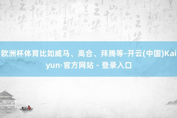 欧洲杯体育比如威马、高合、拜腾等-开云(中国)Kaiyun·官方网站 - 登录入口