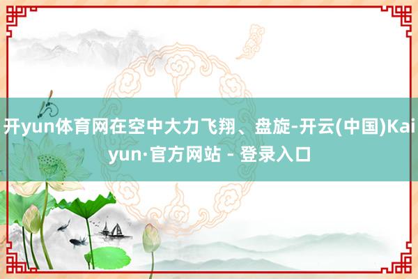 开yun体育网在空中大力飞翔、盘旋-开云(中国)Kaiyun·官方网站 - 登录入口