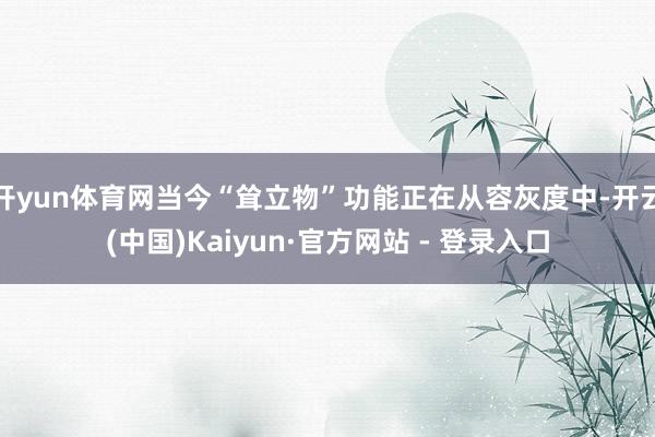 开yun体育网当今“耸立物”功能正在从容灰度中-开云(中国)Kaiyun·官方网站 - 登录入口