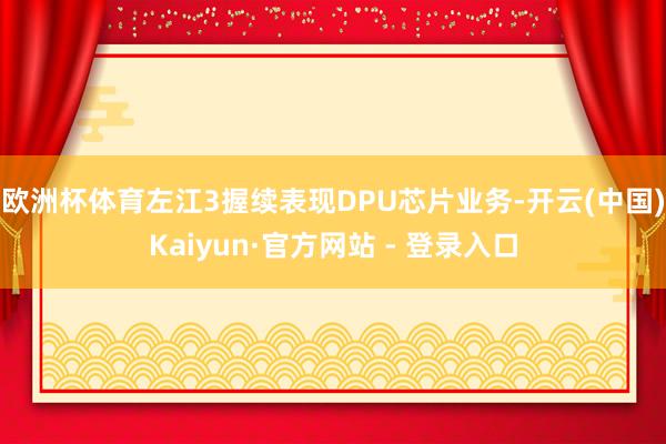欧洲杯体育左江3握续表现DPU芯片业务-开云(中国)Kaiyun·官方网站 - 登录入口