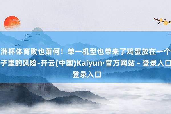欧洲杯体育败也萧何！单一机型也带来了鸡蛋放在一个篮子里的风险-开云(中国)Kaiyun·官方网站 - 登录入口