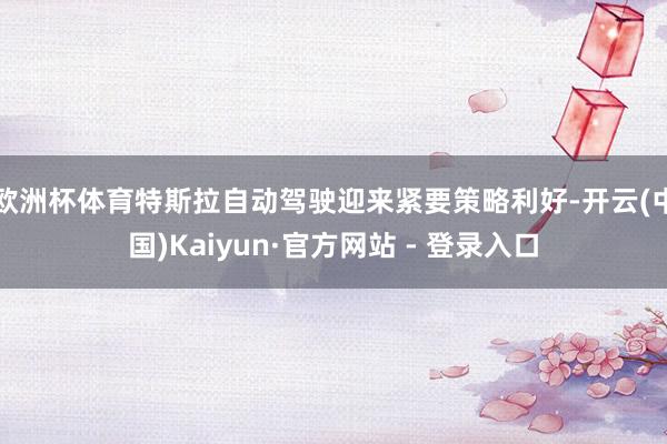 欧洲杯体育特斯拉自动驾驶迎来紧要策略利好-开云(中国)Kaiyun·官方网站 - 登录入口