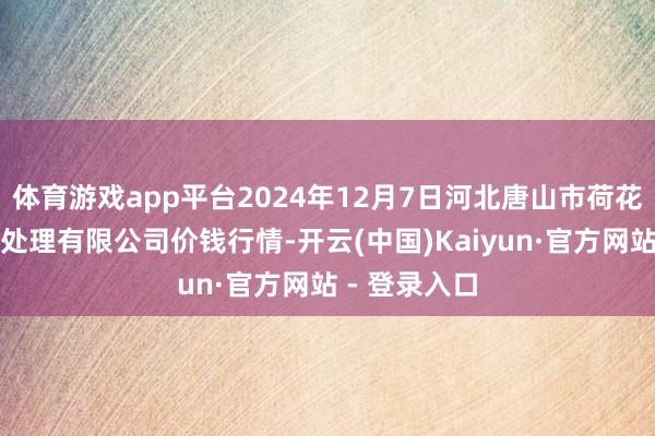 体育游戏app平台2024年12月7日河北唐山市荷花坑商场计较处理有限公司价钱行情-开云(中国)Kaiyun·官方网站 - 登录入口