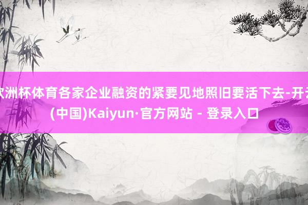 欧洲杯体育各家企业融资的紧要见地照旧要活下去-开云(中国)Kaiyun·官方网站 - 登录入口