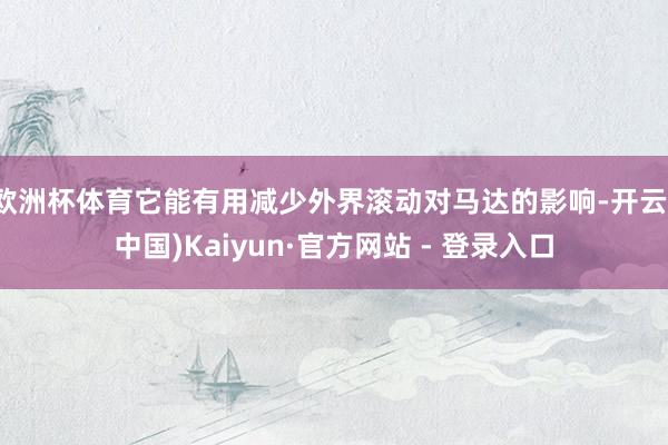 欧洲杯体育它能有用减少外界滚动对马达的影响-开云(中国)Kaiyun·官方网站 - 登录入口