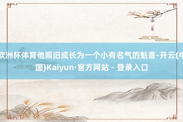 欧洲杯体育他照旧成长为一个小有名气的魁首-开云(中国)Kaiyun·官方网站 - 登录入口