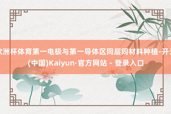 欧洲杯体育第一电极与第一导体区同层同材料种植-开云(中国)Kaiyun·官方网站 - 登录入口
