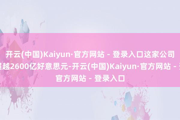 开云(中国)Kaiyun·官方网站 - 登录入口这家公司的市值超越2600亿好意思元-开云(中国)Kaiyun·官方网站 - 登录入口