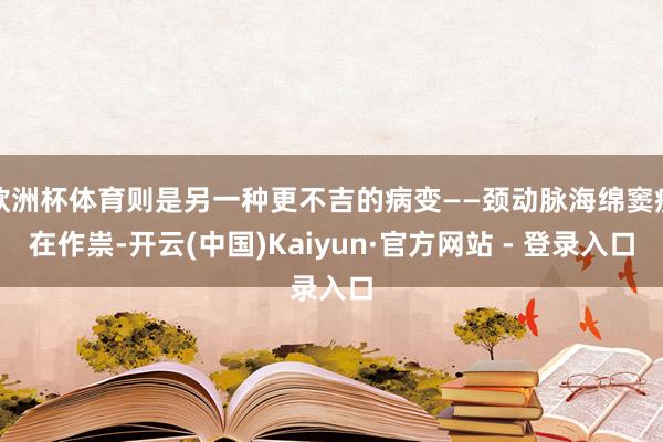 欧洲杯体育则是另一种更不吉的病变——颈动脉海绵窦瘘在作祟-开云(中国)Kaiyun·官方网站 - 登录入口