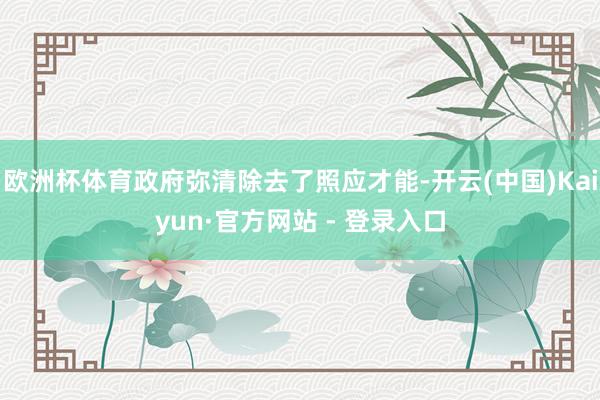 欧洲杯体育政府弥清除去了照应才能-开云(中国)Kaiyun·官方网站 - 登录入口