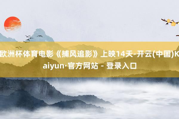 欧洲杯体育电影《捕风追影》上映14天-开云(中国)Kaiyun·官方网站 - 登录入口
