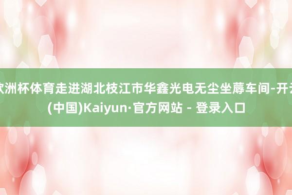 欧洲杯体育走进湖北枝江市华鑫光电无尘坐蓐车间-开云(中国)Kaiyun·官方网站 - 登录入口