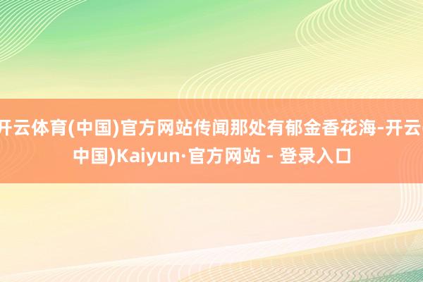 开云体育(中国)官方网站传闻那处有郁金香花海-开云(中国)Kaiyun·官方网站 - 登录入口