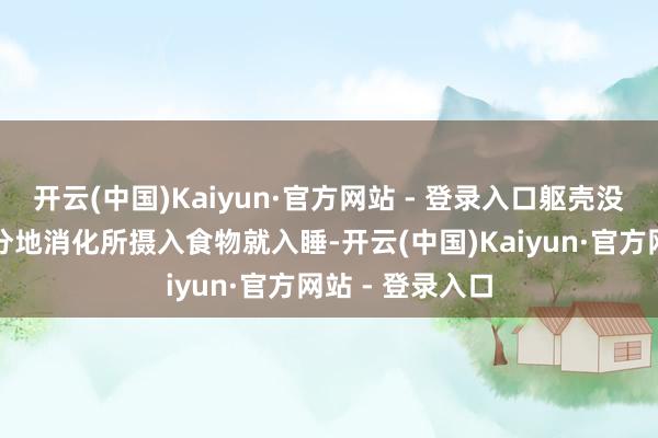 开云(中国)Kaiyun·官方网站 - 登录入口躯壳没观念实时、充分地消化所摄入食物就入睡-开云(中国)Kaiyun·官方网站 - 登录入口