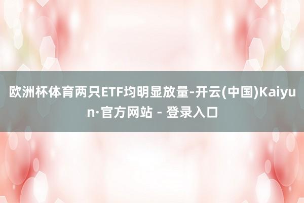 欧洲杯体育两只ETF均明显放量-开云(中国)Kaiyun·官方网站 - 登录入口