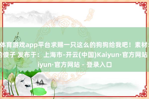 体育游戏app平台求赐一只这么的狗狗给我吧！素材：dy@奢睿的傻子 发布于：上海市-开云(中国)Kaiyun·官方网站 - 登录入口