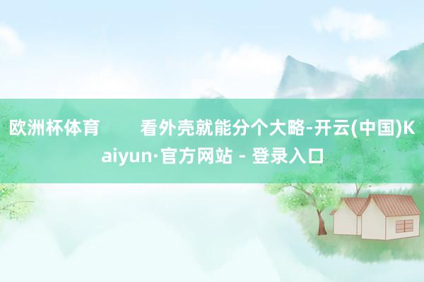 欧洲杯体育 看外壳就能分个大略-开云(中国)Kaiyun·官方网站 - 登录入口
