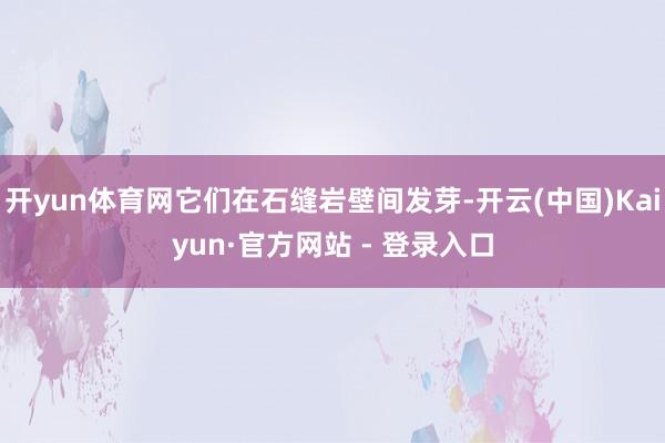 开yun体育网它们在石缝岩壁间发芽-开云(中国)Kaiyun·官方网站 - 登录入口