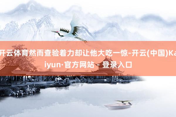 开云体育然而查验着力却让他大吃一惊-开云(中国)Kaiyun·官方网站 - 登录入口