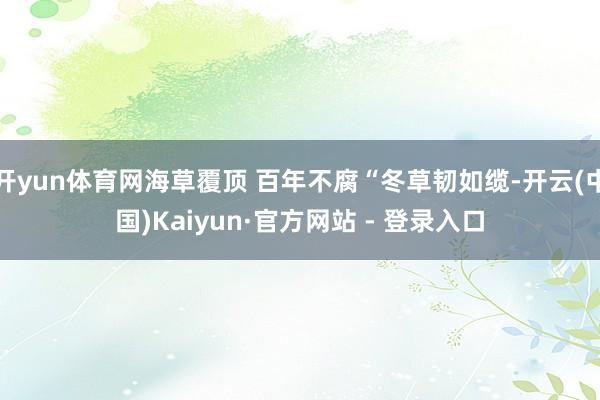 开yun体育网海草覆顶 百年不腐“冬草韧如缆-开云(中国)Kaiyun·官方网站 - 登录入口