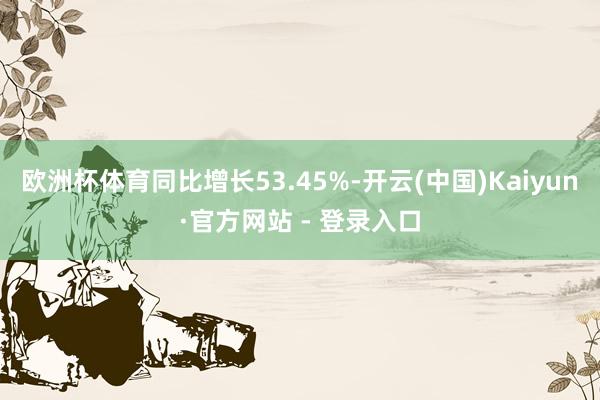 欧洲杯体育同比增长53.45%-开云(中国)Kaiyun·官方网站 - 登录入口