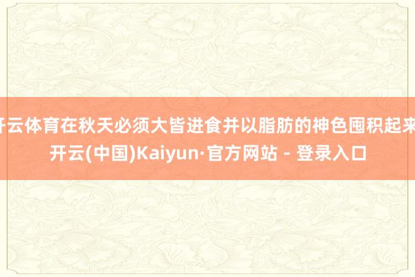 开云体育在秋天必须大皆进食并以脂肪的神色囤积起来-开云(中国)Kaiyun·官方网站 - 登录入口