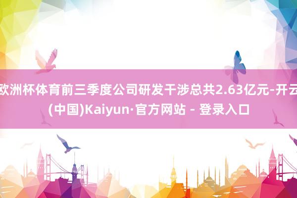 欧洲杯体育前三季度公司研发干涉总共2.63亿元-开云(中国)Kaiyun·官方网站 - 登录入口